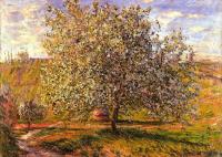 Monet, Claude Oscar - Tree in Flower near Vetheuil